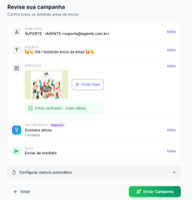 Resumo e conferência antes do envio